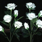 Everbloom™ Lampes Solaires en Fleurs