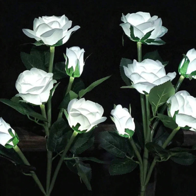 Everbloom™ Lampes Solaires en Fleurs