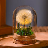 EternaBloom™ Lampe de Nuit