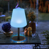 Lampe de Table Moderne Minimaliste