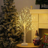 Lumière Arbre Bouleau Nordique