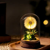 EternaBloom™ Lampe de Nuit