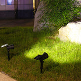 Projecteur de Jardin Solaire