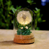 EternaBloom™ Lampe de Nuit