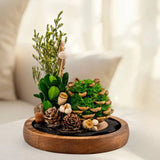 EternaBloom™ Lampe de Nuit