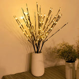 Branches Lumineuses