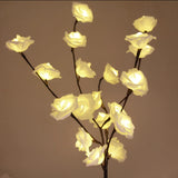 Branches Lumineuses