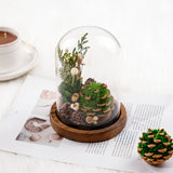EternaBloom™ Lampe de Nuit