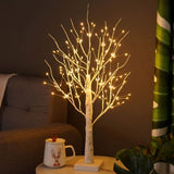 Lumière Arbre Bouleau Nordique