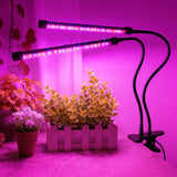 FloraFlare™ Lampe de Culture