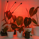 FloraFlare™ Lampe de Culture