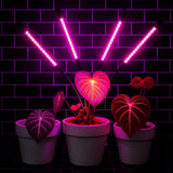 FloraFlare™ Lampe de Culture