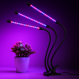 FloraFlare™ Lampe de Culture