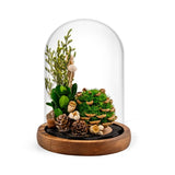 EternaBloom™ Lampe de Nuit