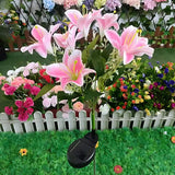 Everbloom™ Lampes Solaires en Fleurs