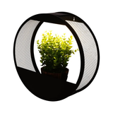 Lumière de Pot de Mur Solaire