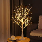 Lumière Arbre Bouleau Nordique