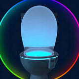 Lumière de Nuit pour Toilettes