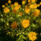 Everbloom™ Lampes Solaires en Fleurs