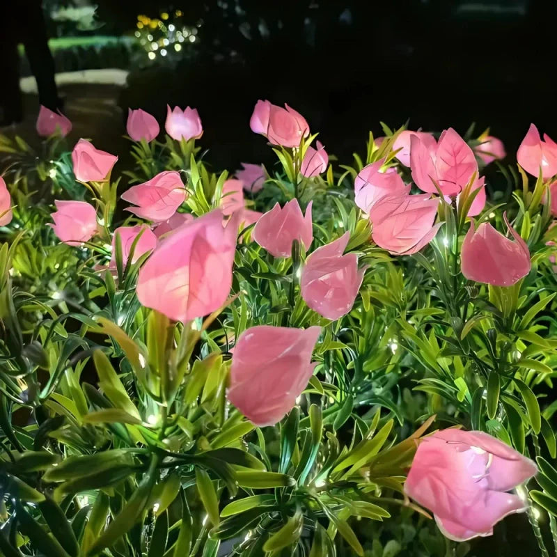 Everbloom™ Lampes Solaires en Fleurs