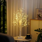 Lumière Arbre Bouleau Nordique