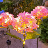 Everbloom™ Lampes Solaires en Fleurs