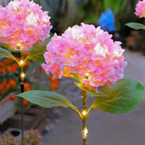 Everbloom™ Lampes Solaires en Fleurs