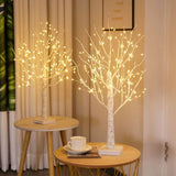 Lumière Arbre Bouleau Nordique