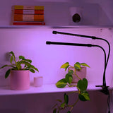 FloraFlare™ Lampe de Culture