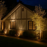 Projecteur de Jardin Solaire