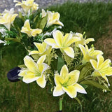 Everbloom™ Lampes Solaires en Fleurs
