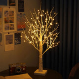 Lumière Arbre Bouleau Nordique