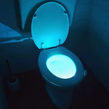 Lumière de Nuit pour Toilettes