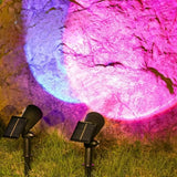 Projecteur de Jardin Solaire