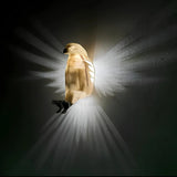 Ailes Lumineuses™