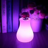 Vase FloraGlow™