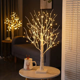 Lumière Arbre Bouleau Nordique