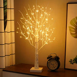 Lumière Arbre Bouleau Nordique