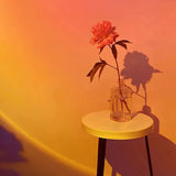 Projecteur de Couché de Soleil