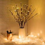 Branches Lumineuses