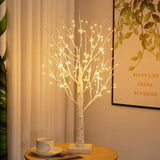Lumière Arbre Bouleau Nordique