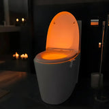 Lumière de Nuit pour Toilettes