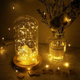 Guirlande Lumineuse Solaire