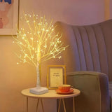 Lumière Arbre Bouleau Nordique