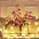 Branches Lumineuses