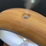 Levita™ Humidificateur Anti-Gravité