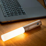 Lampe de Mouvement Moderne