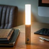 Lampe de Mouvement Moderne