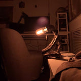 Lumière Sentinel Steampunk™