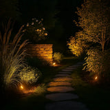 Projecteur de Jardin Solaire